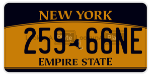 25966NE  license plate in NY