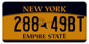 28849BT  license plate in NY