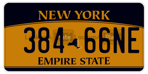 38466NE  license plate in NY