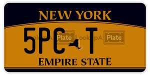 5PCT  license plate in NY