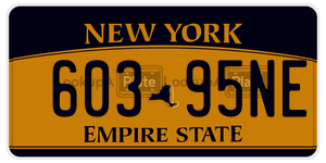 60395NE  license plate in NY