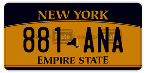 881ANA  license plate in NY