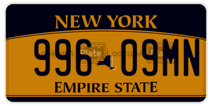 99609MN  license plate in NY