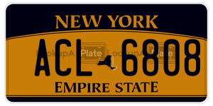 ACL6808 license plate in New York