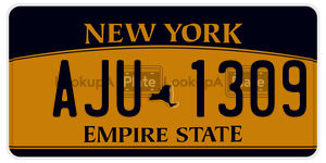 AJU1309  license plate in NY
