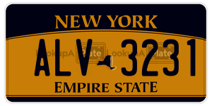 ALV3231  license plate in NY