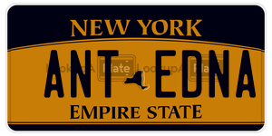 ANTEDNA  license plate in NY