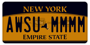 AWSUMMMM  license plate in NY