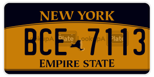 BCE7113 license plate in New York
