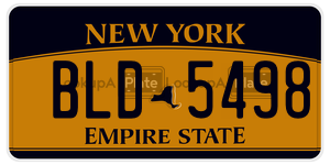 BLD5498 license plate in New York