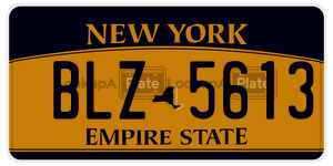 BLZ5613  license plate in NY