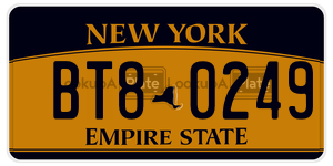 BT80249  license plate in NY