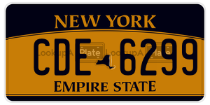 CDE6299  license plate in NY