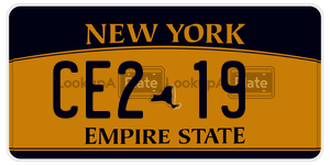 CE219  license plate in NY