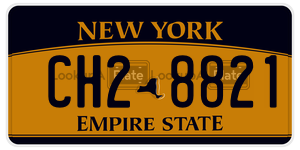 CH28821  license plate in NY