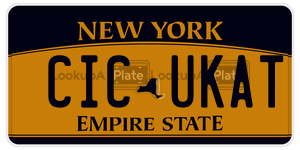 CICUKAT  license plate in NY