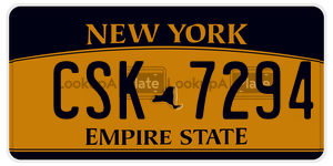 CSK7294  license plate in NY