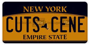 CUTSCENE  license plate in NY