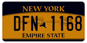 DFN1168 license plate in New York