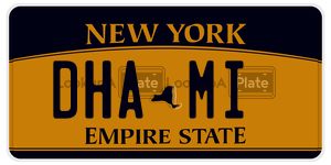 DHAMI  license plate in NY