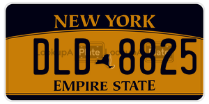 DLD8825  license plate in NY