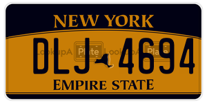 DLJ4694  license plate in NY