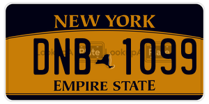 DNB1099  license plate in NY