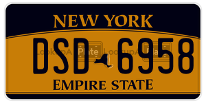 DSD6958  license plate in NY
