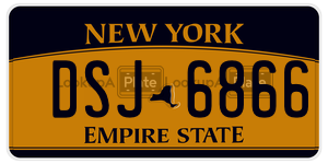 DSJ6866  license plate in NY