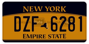 DZF6281  license plate in NY