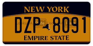 DZP8091  license plate in NY