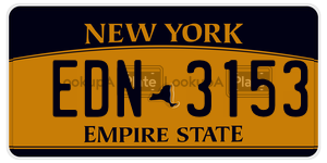 EDN3153  license plate in NY