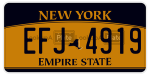 EFJ4919  license plate in NY