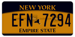 EFN7294  license plate in NY