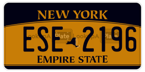 ESE2196  license plate in NY
