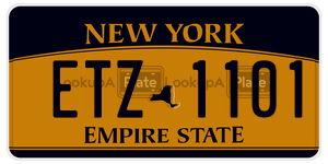 ETZ1101  license plate in NY