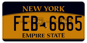 FEB6665  license plate in NY