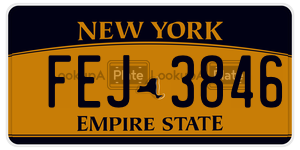 FEJ3846  license plate in NY