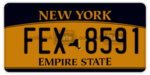 FEX8591  license plate in NY