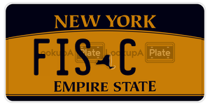 FISC  license plate in NY