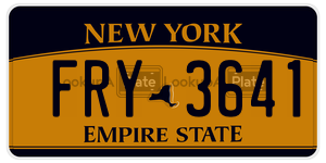 FRY3641  license plate in NY