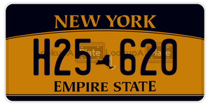 H25620  license plate in NY