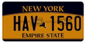 HAV1560 license plate in New York