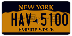 HAV5100  license plate in NY