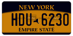 HDU6230  license plate in NY