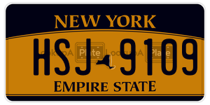 HSJ9109  license plate in NY