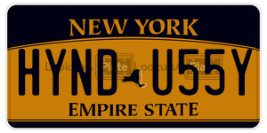HYNDU55Y license plate in New York