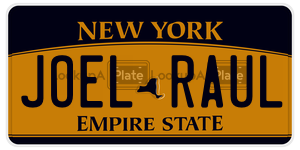 JOELRAUL  license plate in NY