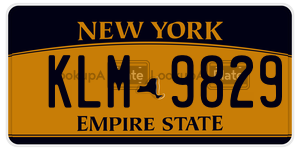 KLM9829  license plate in NY