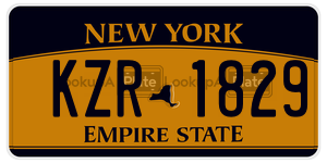 KZR1829  license plate in NY